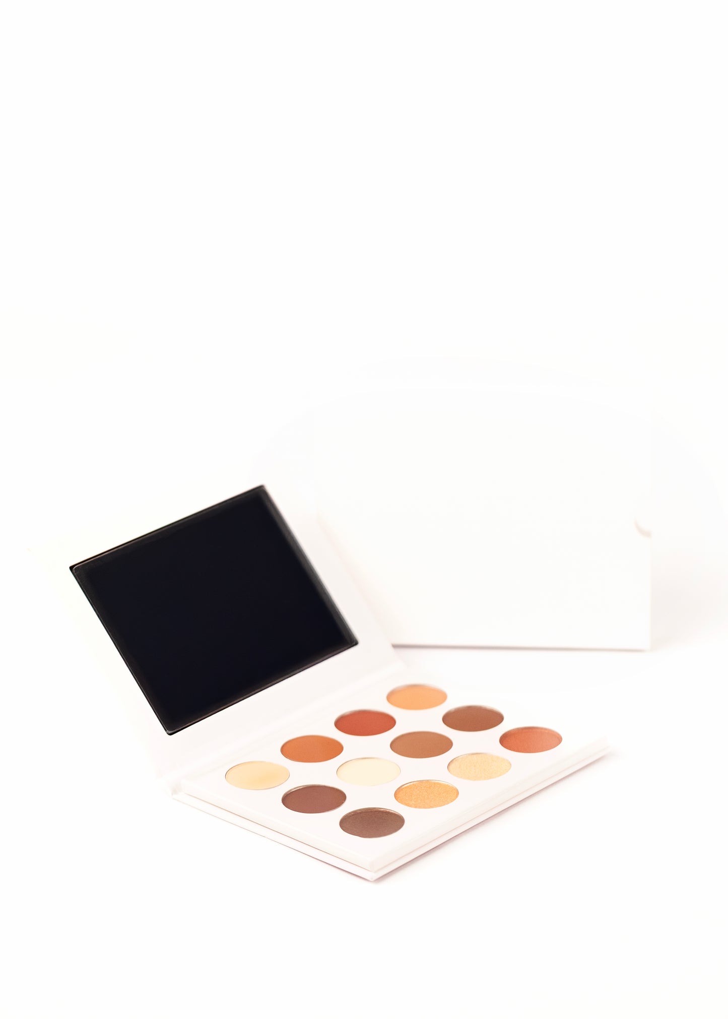 12 Color Brown Eyeshadow Pallet